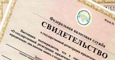 На основании чего действует ИП в договоре: образец
